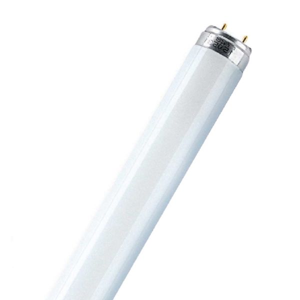 Tubo fluorescente trif&oacute;sforo.